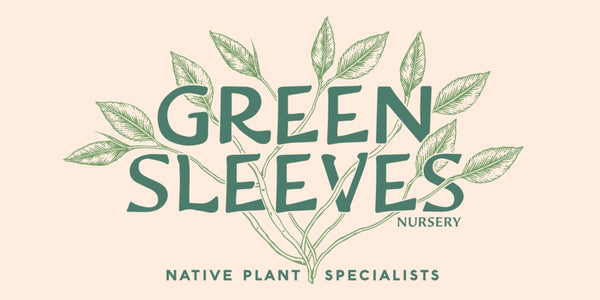 Greensleeves Nursery